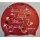 Speedo Badekappe Junior Slogan Silicone Cap Red Multi