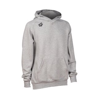 Team Hooded Sweat Panel Grau