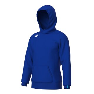 Team Hooded Sweat Panel Royal