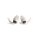 Arena Ear Plug Clear