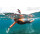 Orca Neoprenanzug Damen Openwater Core Hi-Vis S
