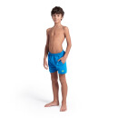ARENA Boys Beach Boxer Solid bluelake-softgreen
